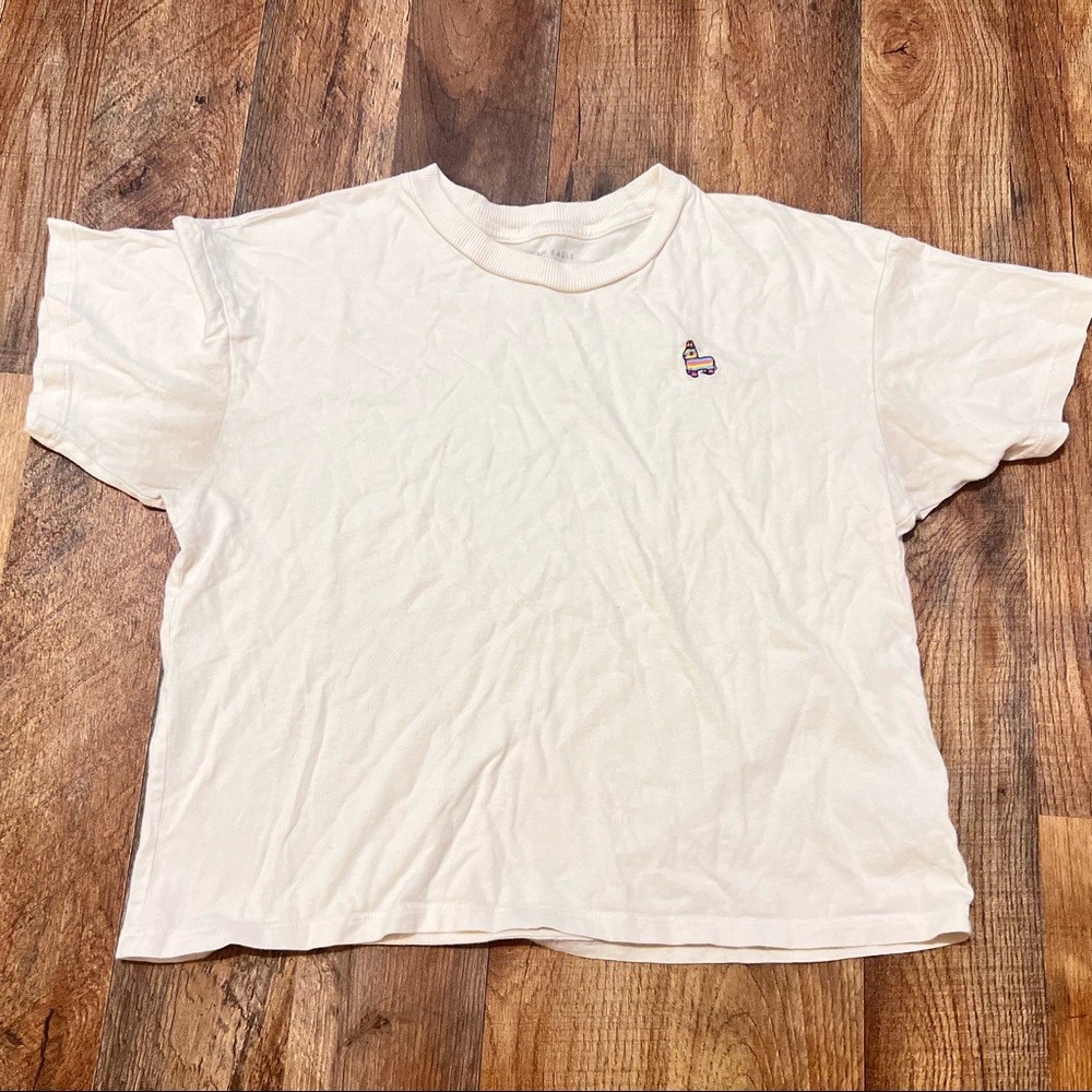 Anerican Eagle AE Graphic Tee Embroidery crop top